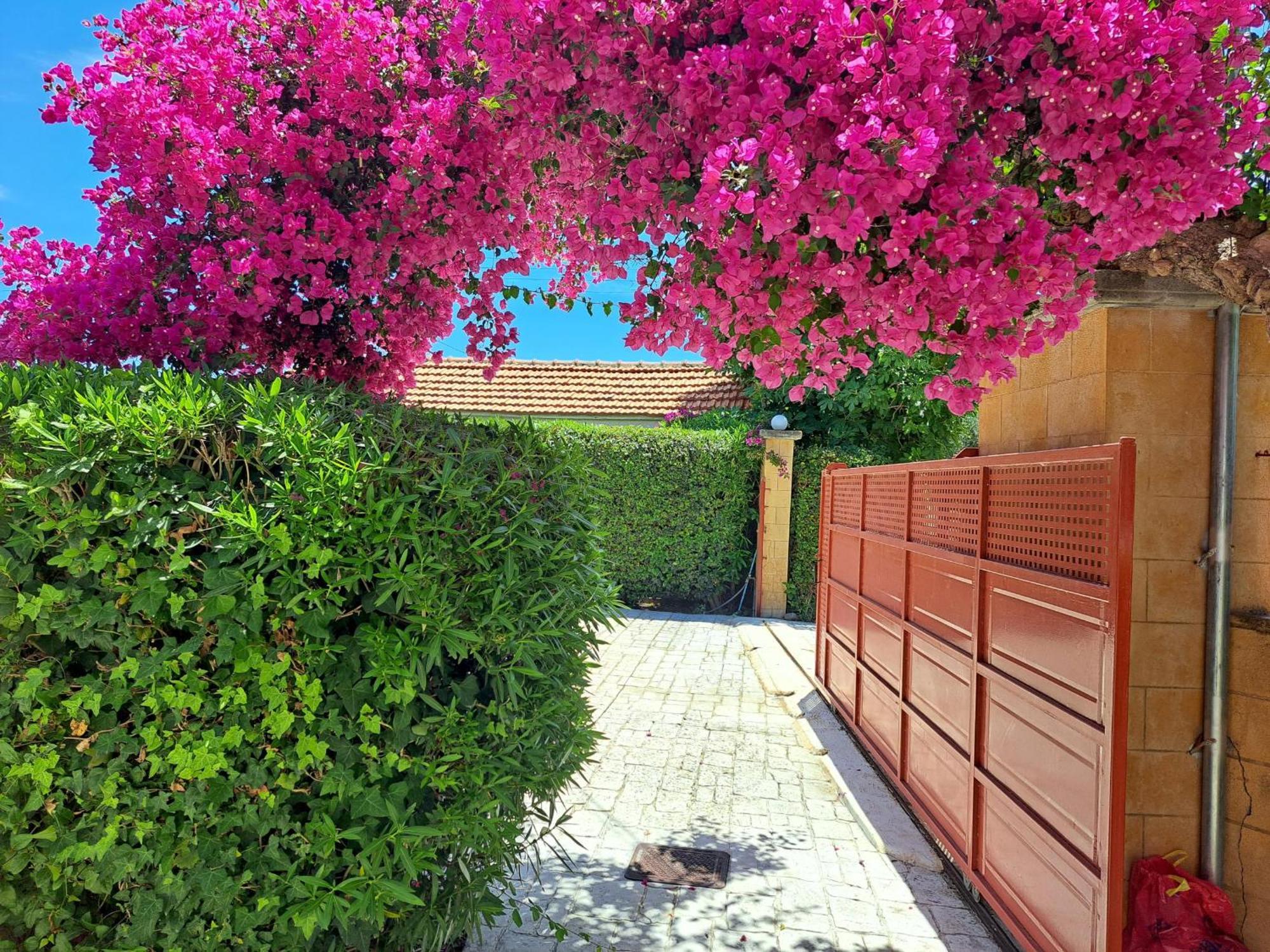 Holiday Home Orfanos Armenoí Exteriör bild